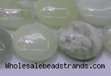 CXJ227 15.5 inches 20mm flat round New jade beads wholesale