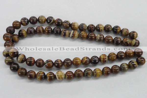 CZJ172 15.5 inches 12mm round iron zebra jasper beads wholesale