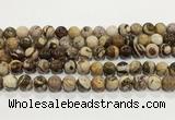 CZJ423 15.5 inches 10mm round Australian zebra jasper beads wholesale