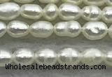 FWP154 14.5 inches 2mm - 3mm rice white freshwater pearl strands