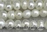 FWP16 14.5 inches 3.2mm - 3.7mm potato white freshwater pearl strands