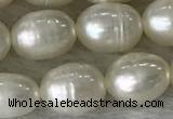 FWP185 15 inches 6mm - 7mm rice white freshwater pearl strands