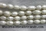 FWP205 15 inches 10mm - 11mm rice white freshwater pearl strands