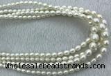 FWP212 15 inches 4mm - 9mm rice white freshwater pearl strands