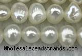 FWP40 14.5 inches 4mm - 5mm potato white freshwater pearl strands