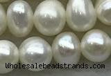 FWP44 14.5 inches 5mm - 5.5mm potato white freshwater pearl strands