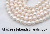 FWP482 14 inches 7mm - 8mm potato white freshwater pearl strands