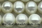 FWP71 15 inches 7mm - 8mm potato white freshwater pearl strands