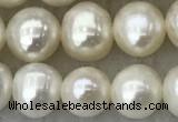 FWP81 15 inches 7mm - 8mm potato white freshwater pearl strands