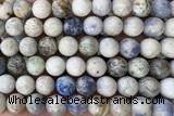 JASP42 15 inches 10mm round hackmanite jasper beads