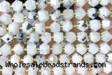 MIXE102 15 inches 10mm faceted white moonstone gemstone beads