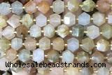 MIXE108 15 inches 10mm faceted jasper gemstone beads