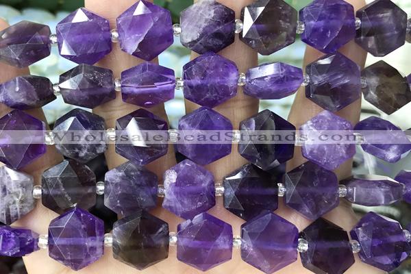 MIXE149 15 inches 12mm faceted hexagon amethyst beads