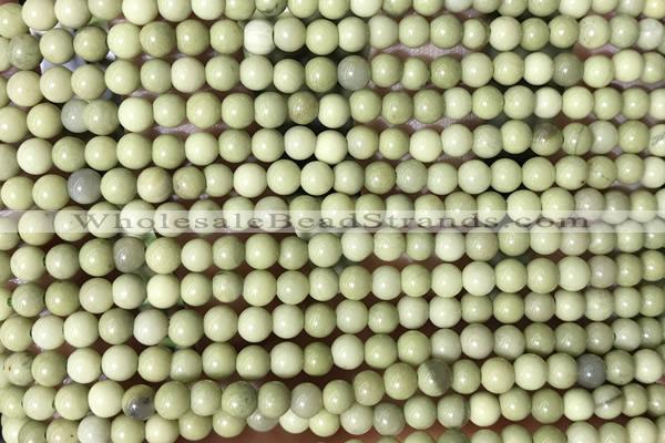 MIX48 15 inches 4mm round matcha alashan gemstone beads