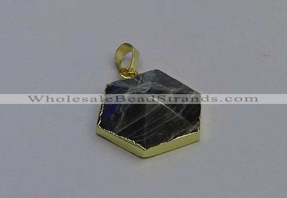 NGP6816 24*25mm hexagon labradorite gemstone pendants wholesale