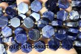 NUGG127 15 inches 14mm hexagon sodalite gemstone beads