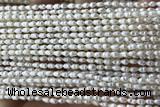 PEAR03 14 inches 2.5mm – 3mm white freshwater pearl beads