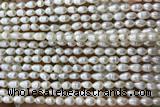 PEAR05 14 inches 3mm – 4mm white freshwater pearl beads