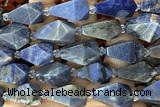 TEAR50 15 inches 10*20mm - 13*23mm faceted freeform teardrop sodalite beads